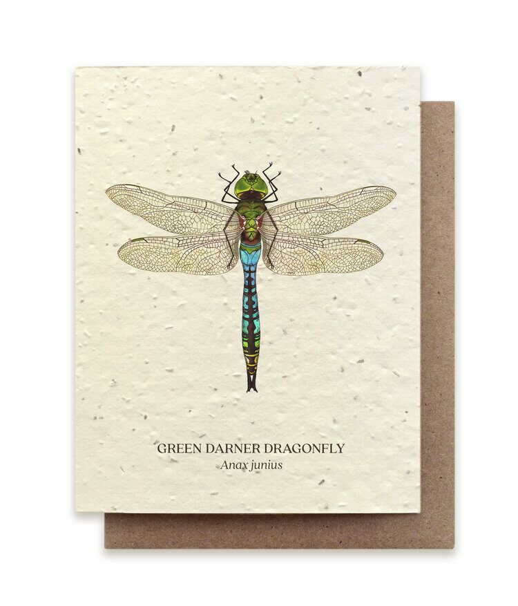 Insect Card Set - Plantable Seed Paper